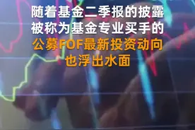 中国财富报道|“基金专业买手”最新持仓曝光视频封面