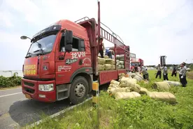 中铁四局积极筹备物资应对新一轮雨情汛情图片