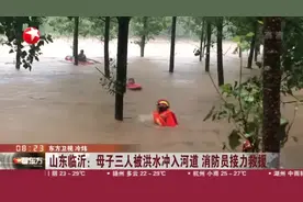 山东临沂：母子三人被洪水冲入河道  消防员接力救援视频封面
