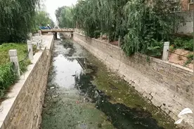 问政山东丨治理6年仍是臭水沟，聊城青年渠何时变“清”？图片