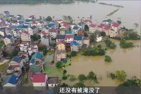 圩（wéi）堤里的鄱阳，被水漫过的昌洲视频封面