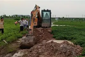 东王营乡：迅速开展农田排涝图片