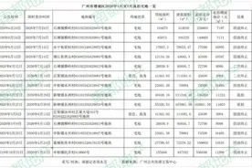 7房企竞价33轮！增城卖地收了24亿！但年内169亿“飞了”图片