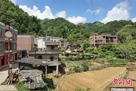 广西梧州大山深处飞出茶“凤凰”千年六堡茶成致富黄金叶图片
