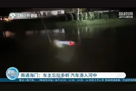 大意不得！女车主忘拉手刹 汽车滑入河中图片