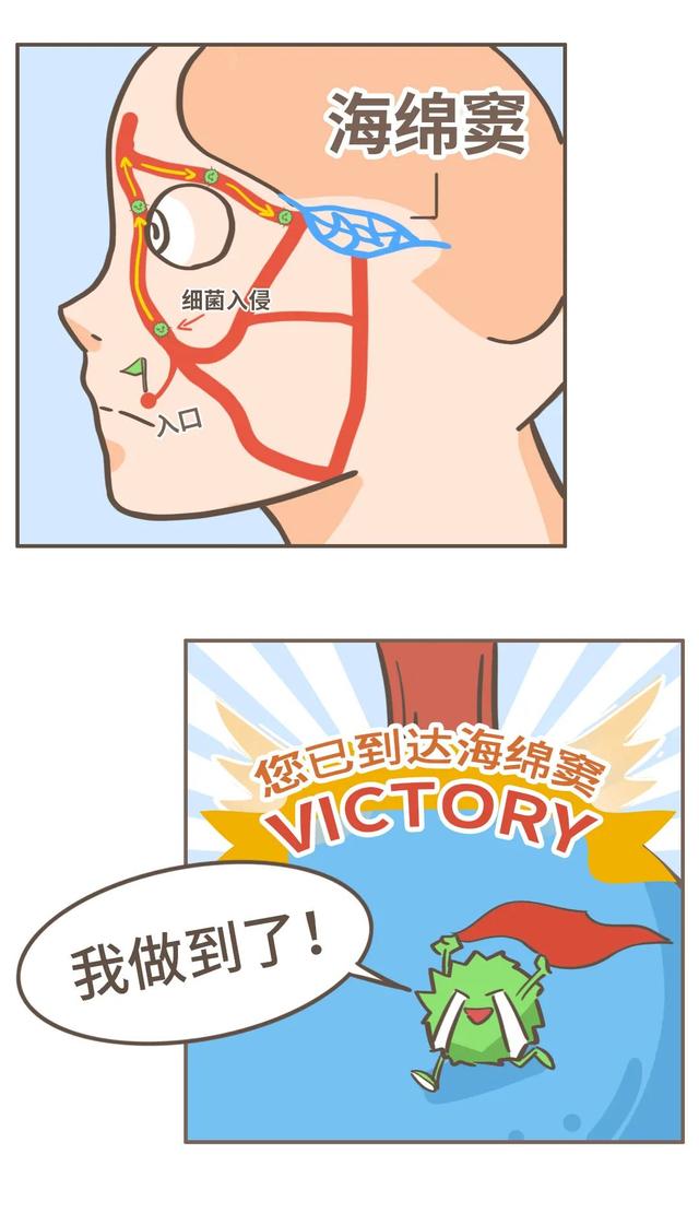 别以为挤痘痘是小事，搞不好会要命的
