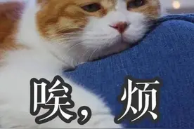 广场舞大妈日服77颗药，家里药堆成山……警方一查，事情不简单图片