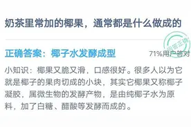 奶茶里加的椰果是什么做的？椰子果肉切块还是椰子水发酵成型图片