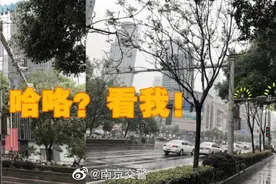南京非机动车违法抓拍全面升级图片