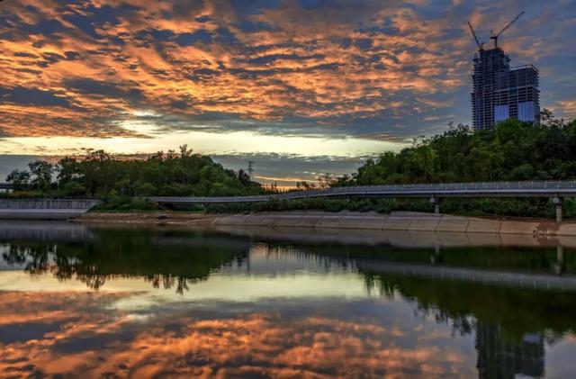 打造“3.0”城市模版，上海、成都都交出升级答卷