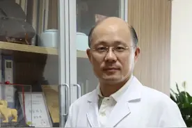 瑞金柳叶刀图片