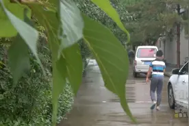 西安一小学生放学路上遭捂嘴掐脖，民警一眼认出嫌疑人图片