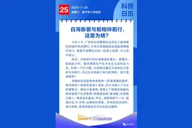钦州科普日历丨白海豚爱与船相伴前行，这是为啥？图片
