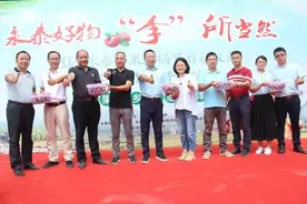 福建永泰盖洋：李果采摘节农旅融合打造精品图片
