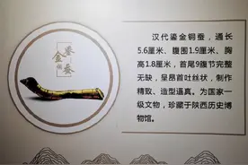蚕宝宝吐出“黄金”丝，织就脱贫致富梦图片