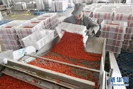 西海固换了新模样图片