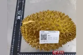 榴莲外壳上含有染色剂？“染色剂”是否有害？专业人士这么说图片