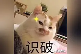 一个啃过的玉米棒子砸伤楼下行人！物业发“DNA检测通告”吓出肇事者图片