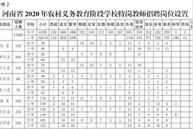 河南特岗教师明起报名，教师资格不作为限制性条件图片
