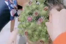 萌娃自制“苍耳帽子”，童年最深刻的惨痛回忆，哈哈哈……图片