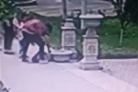 惊险 泰安一小区观赏花钵砸伤攀爬幼童致十级伤残 伤者家属小区物业各执一词 砸伤幼童谁来担责图片