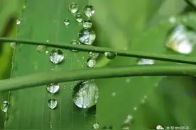 一滴水的世界图片