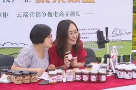 赤峰元宝山区：以担当作为书写“六稳”“六保”优异答卷图片