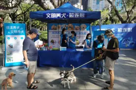 福田区全面启动犬只芯片植入工作 快带你家汪星人了解一下图片