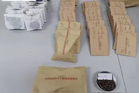27个植物种子首次在中国西南野生生物种质资源库入库保存图片