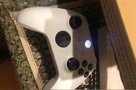 适配Xbox Series X：新一代熊猫色手柄首曝图片