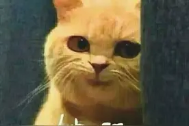游泳是夏天最好的运动，但这些常识你真的知道吗？图片