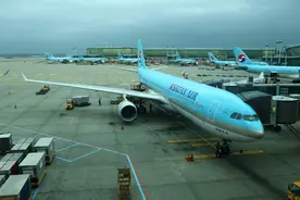大韩航空第三个班次明天恢复，到天津！国航将特别增加首尔的班次，到杭州 | 航班动态图片