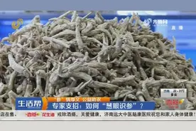 西洋参鉴别有窍门，专家支招教你“慧眼识参”，干货满满快来围观视频封面