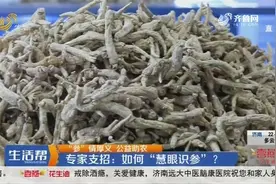 西洋参鉴别有窍门，专家支招教你“慧眼识参”，干货满满快来围观视频封面