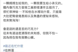 徐佳莹官宣怀孕，称肚中男宝为“小弟兄”图片