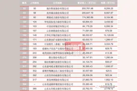 2020年《财富》中国500强，山东23家公司上榜图片