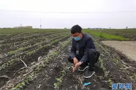 习近平总书记关切事丨让百姓吃得饱还要吃得好——夯实粮食安全基础端牢中国饭碗图片