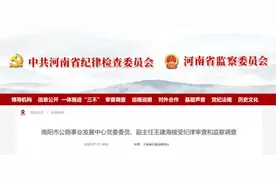 南阳两名干部被查图片