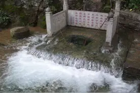 发现有人用泉水浇果园，济南一男子为护泉拿走水泵惹官司图片