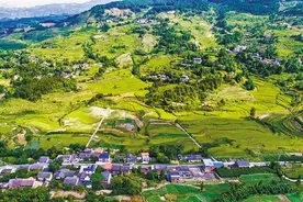 放下柴刀“种”风景图片