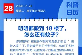 钦州科普日历丨明明都搬到18楼了，怎么还有蚊子？图片