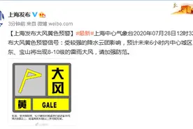 上海发布大风黄色预警图片