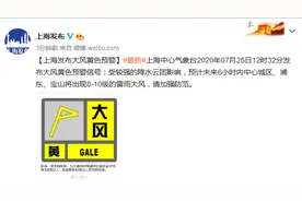 上海发布大风黄色预警图片