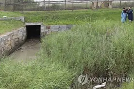 韩国军方：监控拍到朝鲜疑似病例行迹，推测从此处越境图片