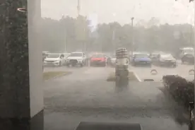 上一秒艳阳高照，下一秒电闪雷鸣，上海又下暴雨啦视频封面