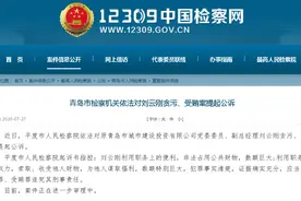 山东两地最新通报：一副镇长被撤职，一国企干部被公诉图片