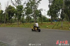 武汉东湖绿道可骑电动车了，最高时速10公里图片