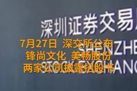 中国财富报道|创业板注册制来了！不做这件事打不了新股视频封面