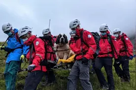 跋山涉水5个小时 英国16名搜救队员将“搜救犬”抬下山图片