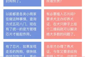 深圳犬只被要求植入芯片 英国早有先例：违规者最高罚500英镑图片